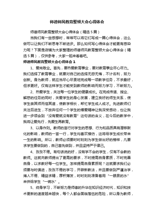 师德师风教育整顿大会心得体会