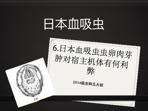 日本血吸虫虫卵肉芽肿对宿主机体有何利弊