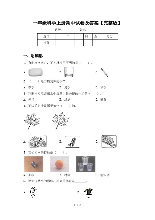 一年级科学上册期中试卷及答案【完整版】