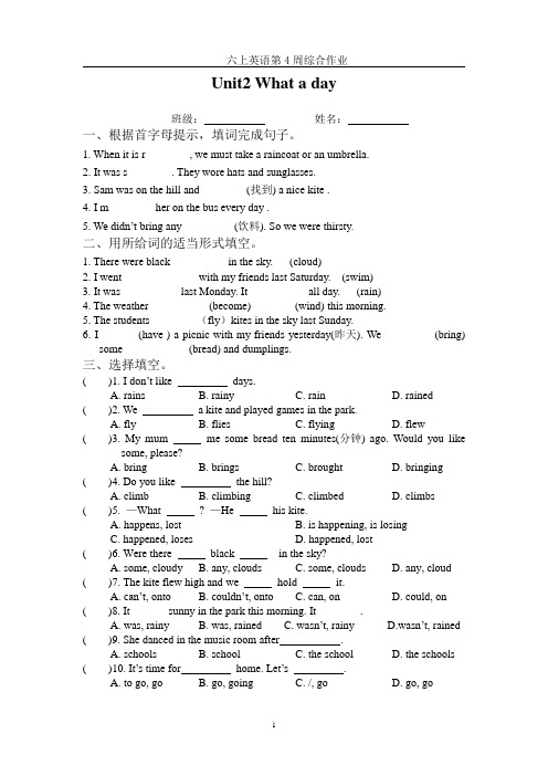 新译林版英语六年级上册Unit2检测