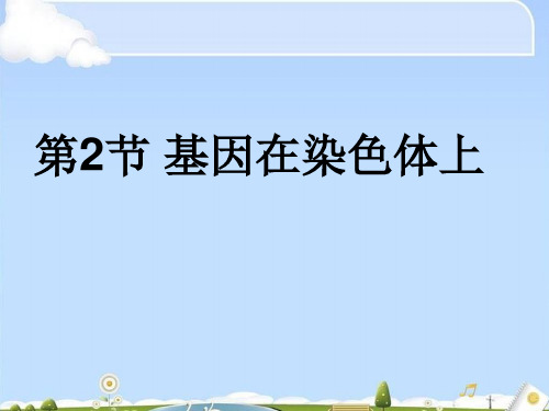 人教版高中生物必修二第2章第2节 基因在染色体上 课件(共25张PPT)