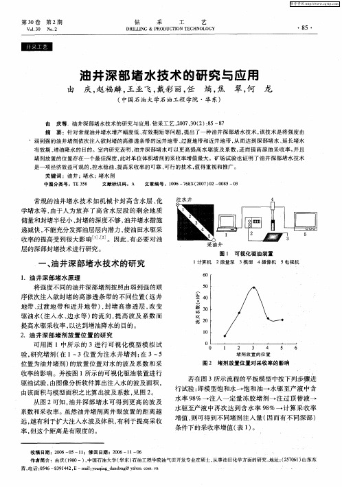 油井深部堵水技术的研究与应用