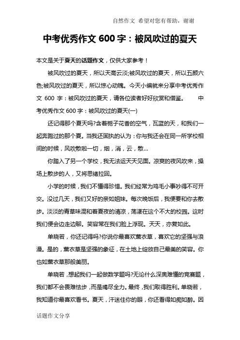中考优秀作文600字:被风吹过的夏天