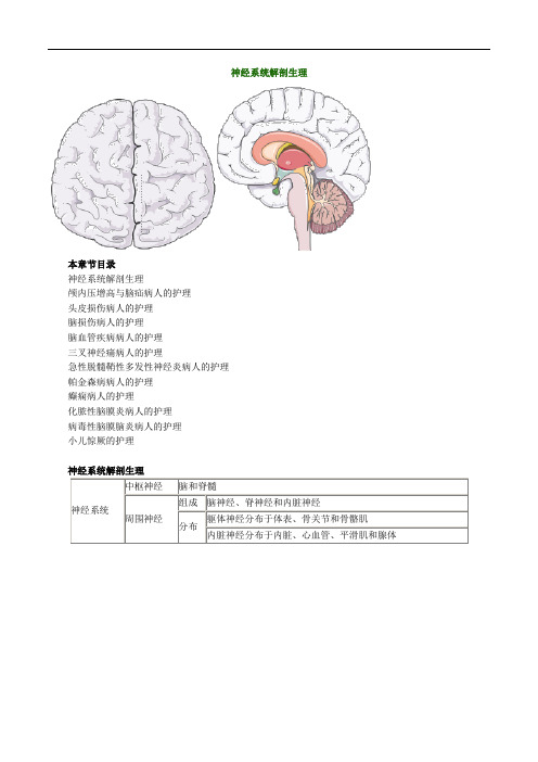 护士执业资格考试辅导 神经系统解剖生理