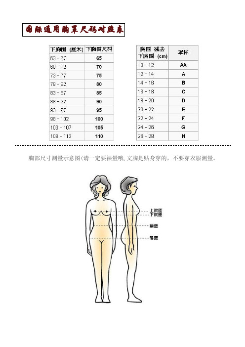 国际通用胸罩尺码对照表及其他汇编