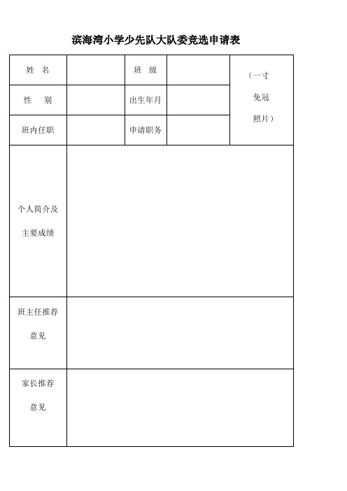 大队委竞选申请表