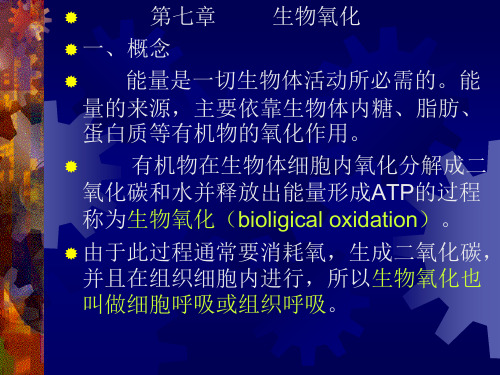 《生物化学》(2)第3部分ppt-PowerPoint