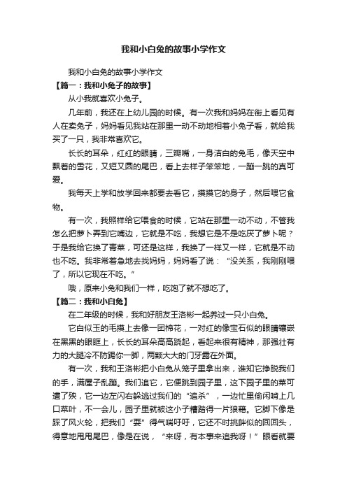 我和小白兔的故事小学作文