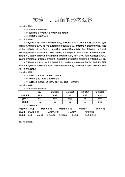 霉菌的形态观察