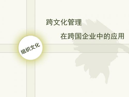 跨文化管理在跨国企业中的应用