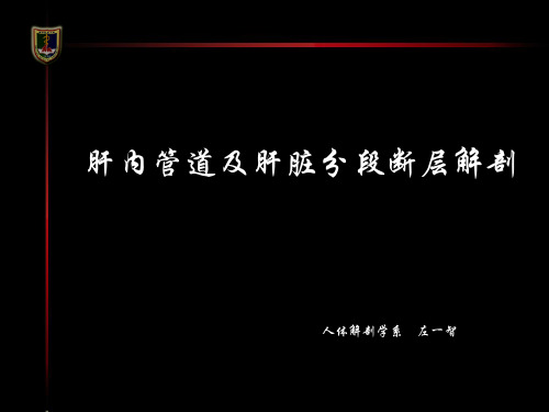 肝内管道及肝脏分段断层解剖