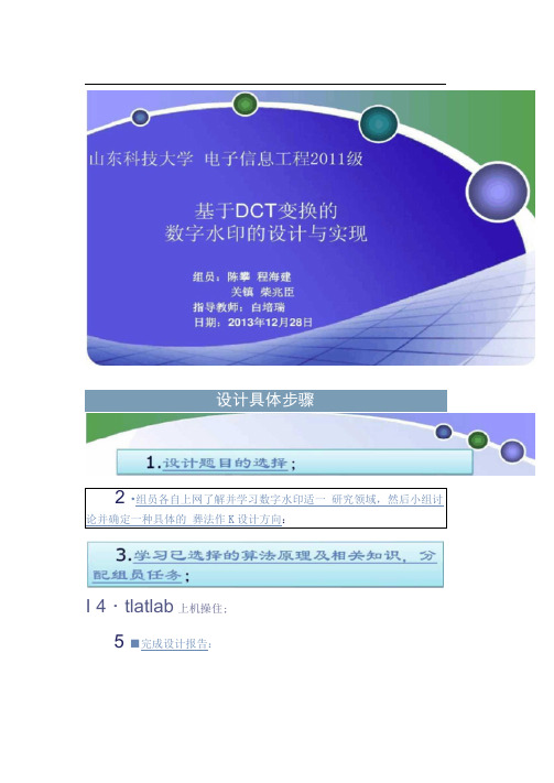 DCT变换数字水印(答辩专用).