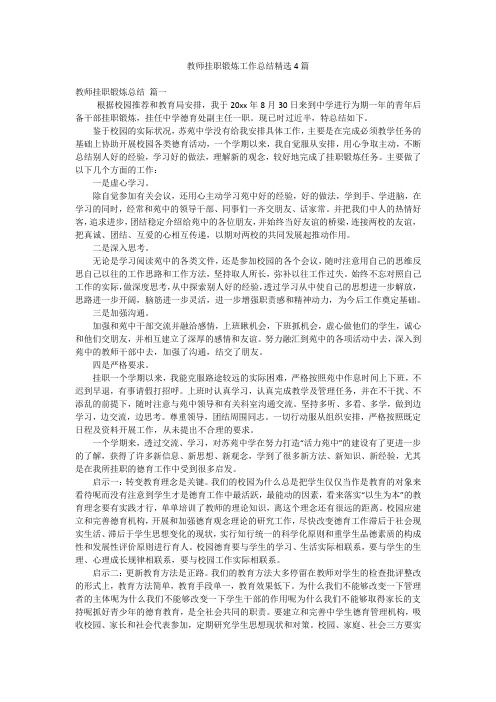 教师挂职锻炼工作总结精选4篇