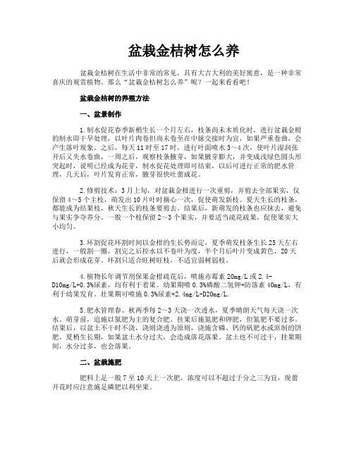 盆栽金桔树怎么养