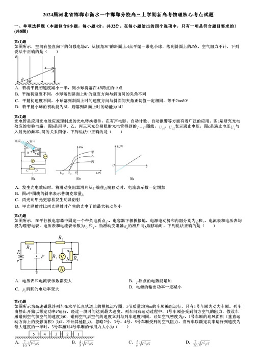 2024届河北省邯郸市衡水一中邯郸分校高三上学期新高考物理核心考点试题