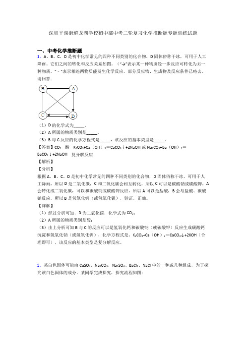 深圳平湖街道龙湖学校初中部中考二轮复习化学推断题专题训练试题