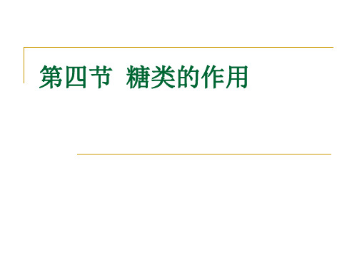 第四节  糖类的营养作用