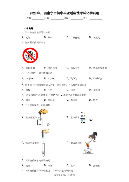 2023年广西南宁市初中毕业适应性考试化学试题