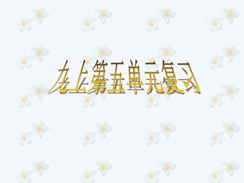 九上第五单元复习PPT 鲁教版 (共26张PPT)