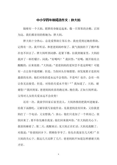 中小学四年级精选作文:胖大妈