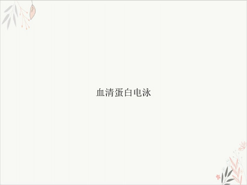 血清蛋白电泳课件-PPT