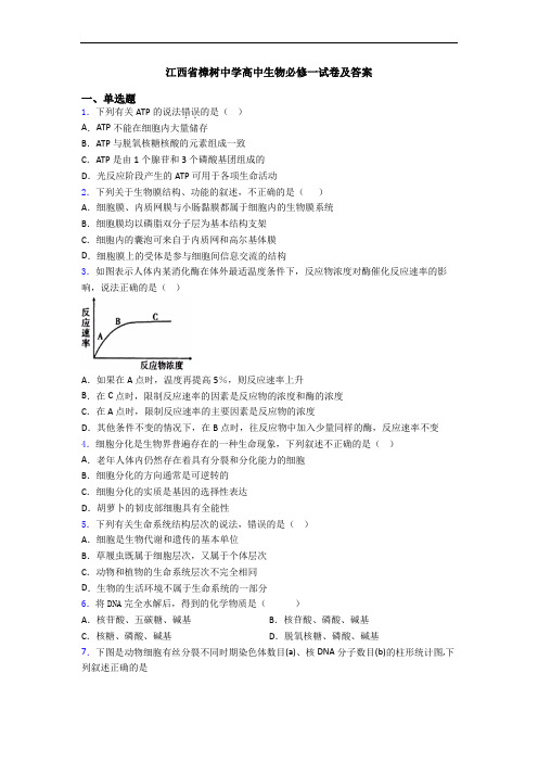 江西省樟树中学高中生物必修一试卷及答案