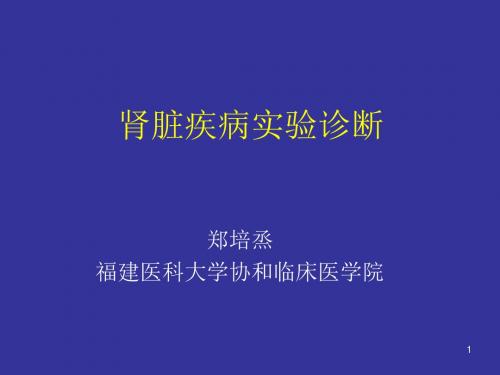 实验诊断学肾脏疾病实验诊断