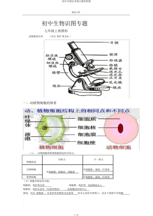 初中生物会考重点图形四册