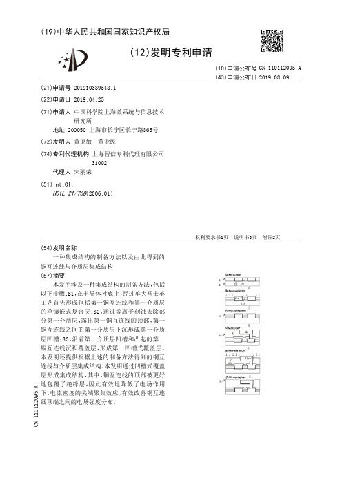 【CN110112095A】一种集成结构的制备方法以及由此得到的铜互连线与介质层集成结构【专利】