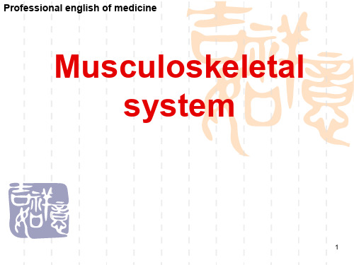 基医专外学-Musculoskeletal system175页PPT