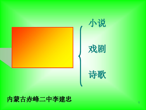 人教版《高中文学体裁——小说》ppt课件