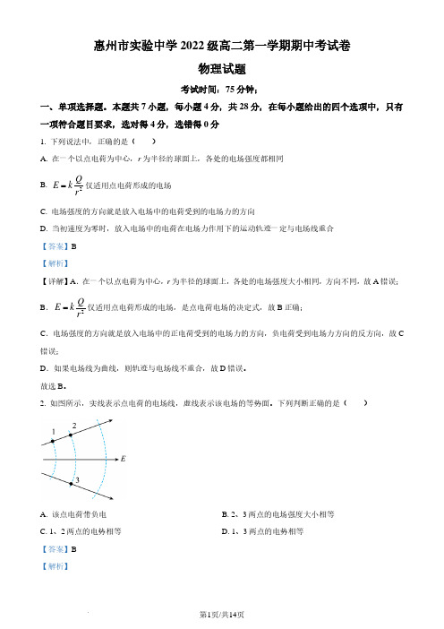 广东惠州实验中学2023-2024学年高二上学期期中考试物理试卷(解析版)