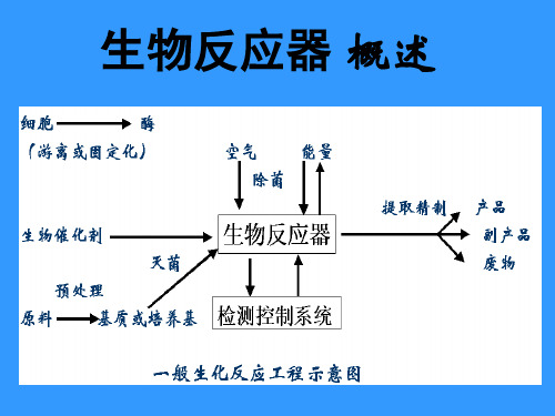 生物反应器设计基础