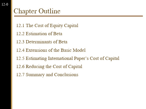 第十二章风险、资本成本和资本预算