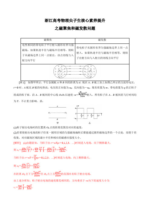 专题07 磁聚焦和磁发散问题(解析版)