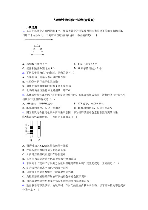 人教版生物必修一试卷(含答案)