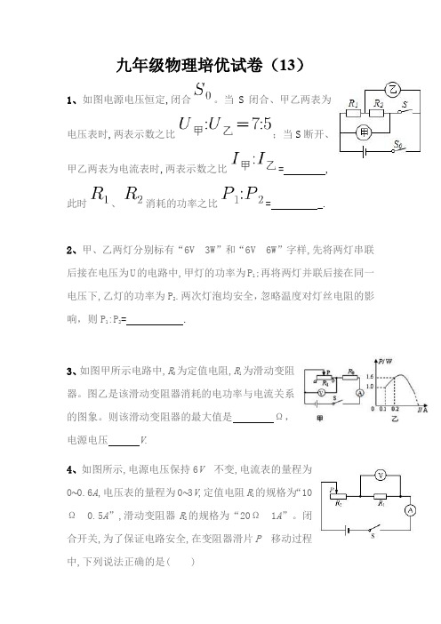 九年级物理培优试卷(13)