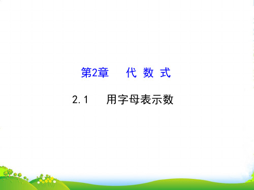 湘教版七年级数学上册《用字母表示数》课件 (共27张PPT)