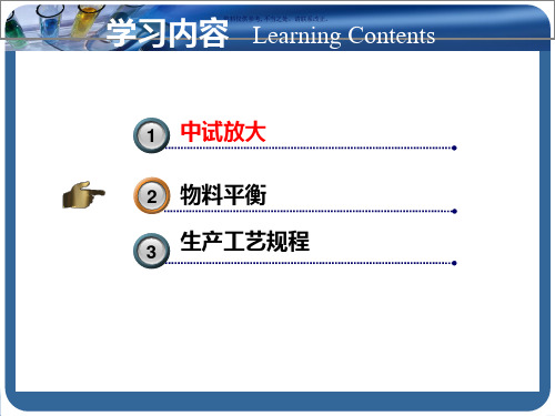 化学制药工艺学课件中试放大与生产工艺规程