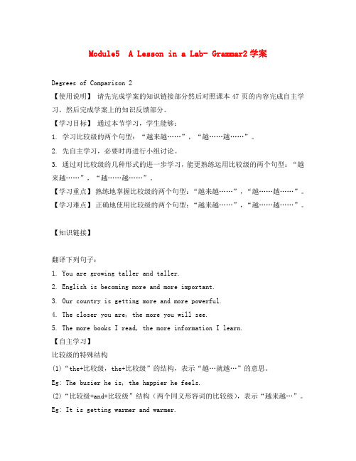 高中英语：Module5 A lesson in a lab-grammar学案(2)(外研版必修1)