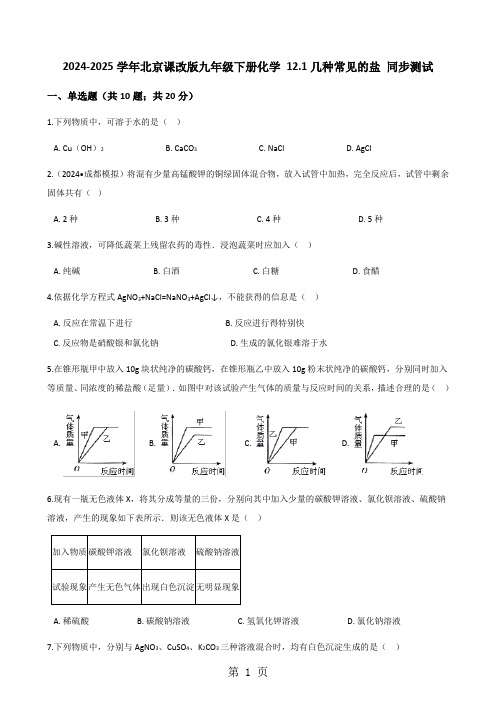 2024-2025学年北京课改版九年级下册化学 12