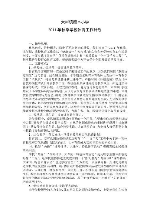 11年秋学校体育工作计划
