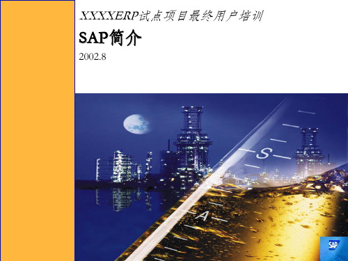 SAP专业培训教材SAP简介