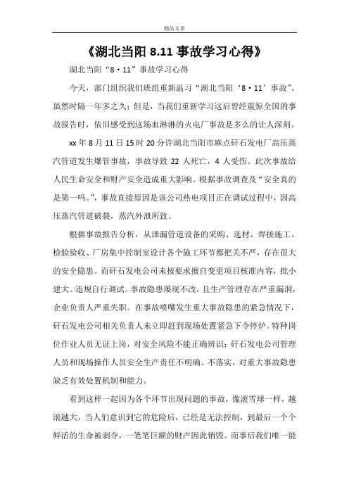 《湖北当阳8.11事故学习心得》