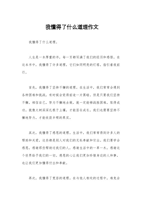 我懂得了什么道理作文