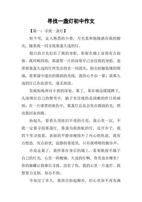 寻找一盏灯初中作文