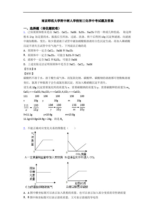 南京师范大学附中树人学校初三化学中考试题及答案