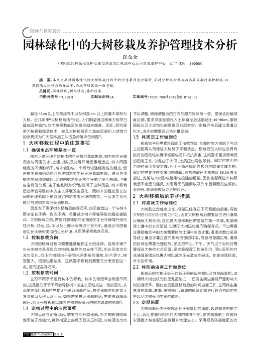 园林绿化中的大树移栽及养护管理技术分析