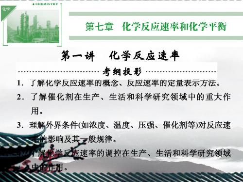 【创新设计】2014届高三化学一轮(梳理+通解+集训)第七章 化学反应速率和化学平衡
