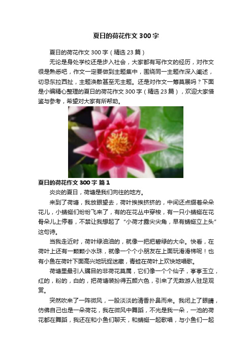 夏日的荷花作文300字